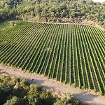 Çiftlik konaklama Tabaccaia - Cortona *