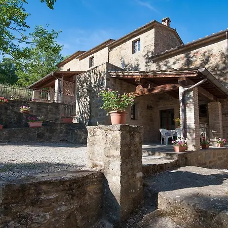 Tabaccaia - Cortona