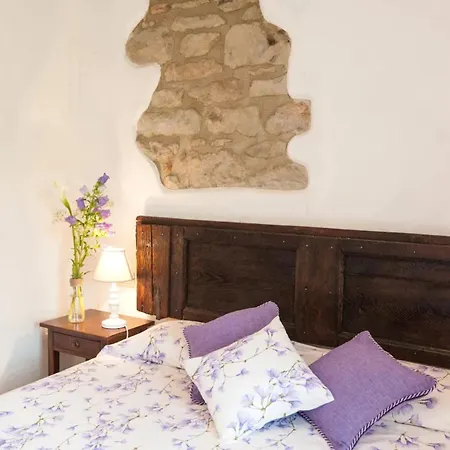 Tabaccaia - Cortona *