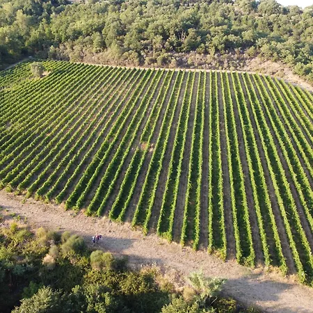 Tabaccaia - Cortona Séjour à la ferme *